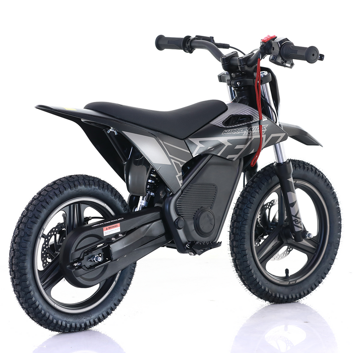 Apollo, RFN Warriors Kids SX-E250, Motocross Électrique au Lithium (36 Volts) (250 Watts) (3-6 Ans)