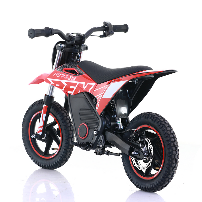 Apollo, RFN Warriors Kids SX-E250, Motocross Électrique au Lithium (36 Volts) (250 Watts) (3-6 Ans)