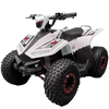 Renegade Ranger XL, Quad Électrique (48 Volts) (20Ah) (1200 Watts)