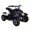 Minitron, Electric Quad (36 Volts) (500 Watts) (3 Years+) (with Remote Control)