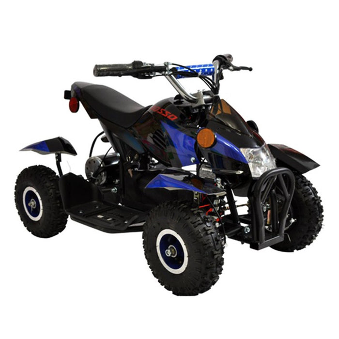 Minitron, Electric Quad (36 Volts) (500 Watts) (3 Years+) (with Remote Control)