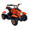 Minitron, Electric Quad (36 Volts) (500 Watts) (3 Years+) (with Remote Control)