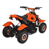 Minitron, Electric Quad (36 Volts) (500 Watts) (3 Years+) (with Remote Control)