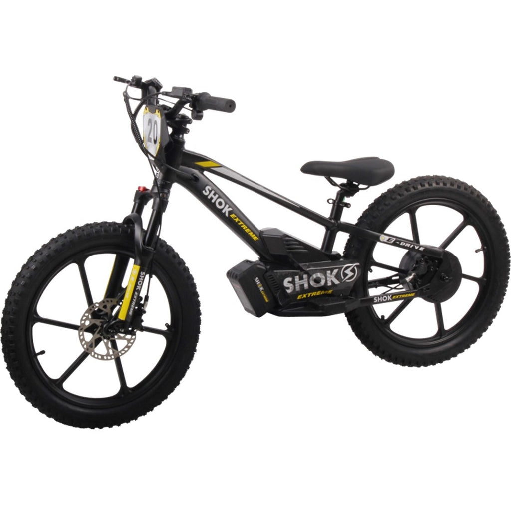 Shok, SX20, Vélo Électrique (36 Volts) (5Ah) (600 Watts)
