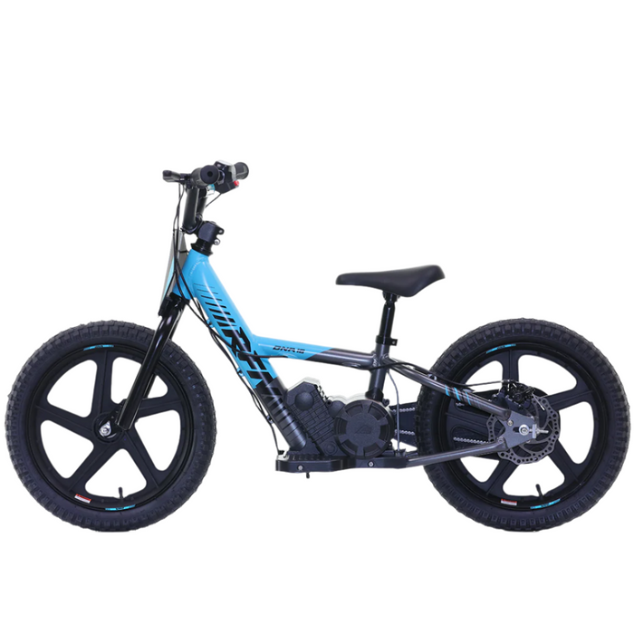 Apollo, RFZ Sedna 16 (2025), Vélo Électrique pour Enfants (24 Volts) (170 Watts) au Lithium