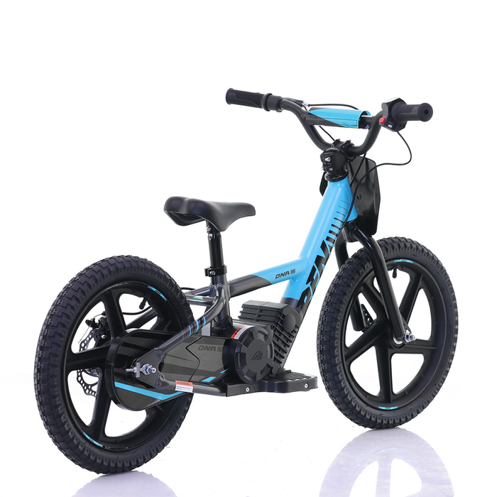 Apollo, RFZ Sedna 16 (2025), Vélo Électrique pour Enfants (24 Volts) (170 Watts) au Lithium