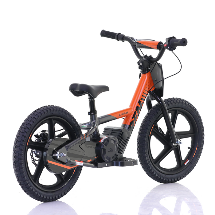 Apollo, RFZ Sedna 16 (2025), Vélo Électrique pour Enfants (24 Volts) (170 Watts) au Lithium