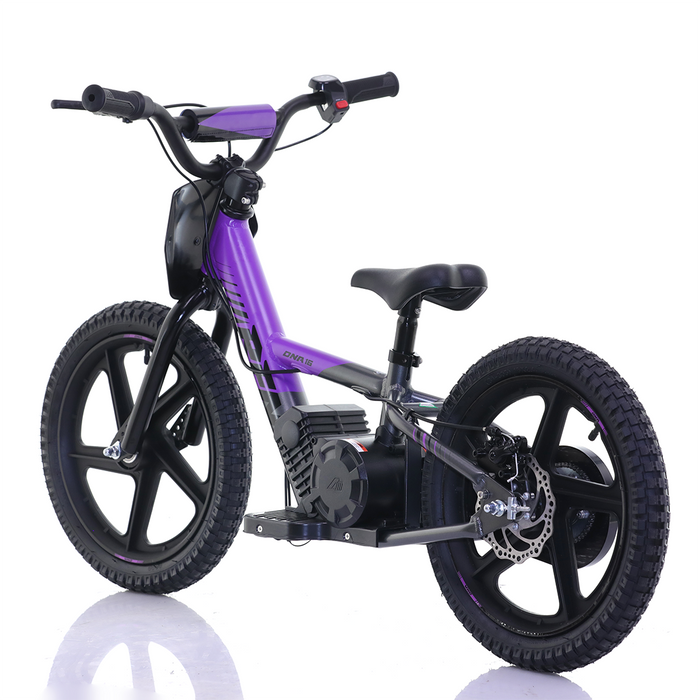 Apollo, RFZ Sedna 16 (2025), Vélo Électrique pour Enfants (24 Volts) (170 Watts) au Lithium