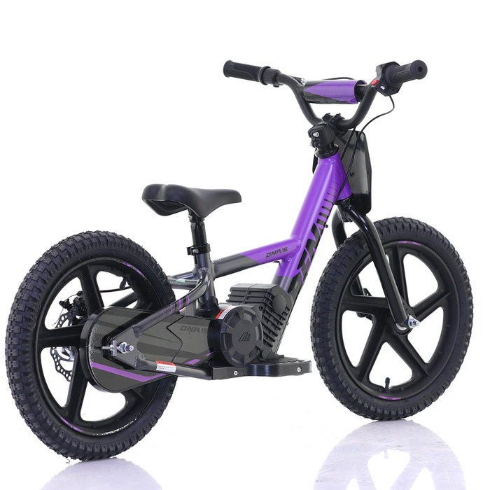 Apollo, RFZ Sedna 16 (2025), Vélo Électrique pour Enfants (24 Volts) (170 Watts) au Lithium