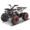 Tao Motors, New Raptor 125, Quad à Essence (4 Temps) (125cc)