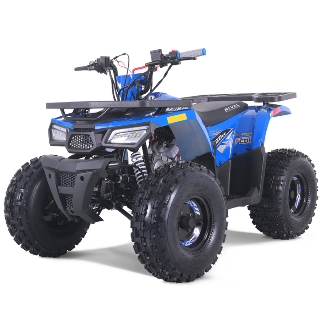 Tao Motors, New Raptor 125, Quad à Essence (4 Temps) (125cc)