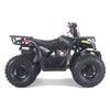 Tao Motors, New Raptor 125, Quad à Essence (4 Temps) (125cc)