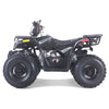Tao Motors, New Raptor 125, Quad à Essence (4 Temps) (125cc)