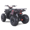 Tao Motors, New Raptor 125, Quad à Essence (4 Temps) (125cc)