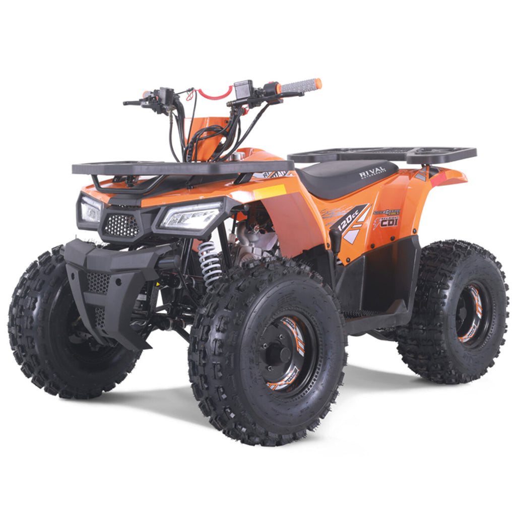 Tao Motors, New Raptor 125, Quad à Essence (4 Temps) (125cc)