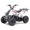 Tao Motors, New Rock 110, Gasoline Quad (110cc) (4 Stroke) (5 Years+)