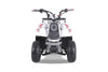 Tao Motors, New Rock 110, Gasoline Quad (110cc) (4 Stroke) (5 Years+)