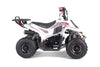 Tao Motors, New Rock 110, Gasoline Quad (110cc) (4 Stroke) (5 Years+)
