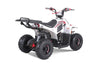 Tao Motors, New Rock 110, Gasoline Quad (110cc) (4 Stroke) (5 Years+)