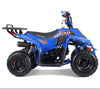 Tao Motors, New Rock 110, Gasoline Quad (110cc) (4 Stroke) (5 Years+)
