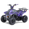 Tao Motors, New Rock 110, Gasoline Quad (110cc) (4 Stroke) (5 Years+)