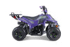 Tao Motors, New Rock 110, Gasoline Quad (110cc) (4 Stroke) (5 Years+)