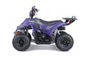 Tao Motors, New Rock 110, Gasoline Quad (110cc) (4 Stroke) (5 Years+)