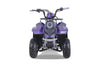 Tao Motors, New Rock 110, Gasoline Quad (110cc) (4 Stroke) (5 Years+)