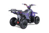 Tao Motors, New Rock 110, Gasoline Quad (110cc) (4 Stroke) (5 Years+)