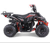 Tao Motors, New Rock 110, Gasoline Quad (110cc) (4 Stroke) (5 Years+)