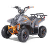 Tao Motors, New Rock 110, Gasoline Quad (110cc) (4 Stroke) (5 Years+)