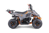 Tao Motors, New Rock 110, Gasoline Quad (110cc) (4 Stroke) (5 Years+)