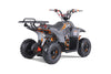 Tao Motors, New Rock 110, Gasoline Quad (110cc) (4 Stroke) (5 Years+)