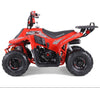 Tao Motors, New Rock 110, Gasoline Quad (110cc) (4 Stroke) (5 Years+)