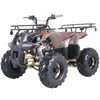 Tao Motors, New T-Force, Quad à Essence (4 Temps) (120cc)