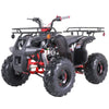 Tao Motors, New T-Force, Quad à Essence (4 Temps) (120cc)