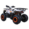 Tao Motors, Raptor 200 (2026), Quad à Essence (200cc)