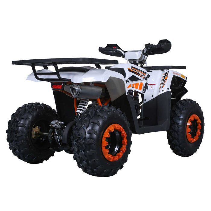 Tao Motors, Raptor 200 (2026), Quad à Essence (200cc)