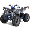 Tao Motors, T-Force Platinium, Quad à Essence (4 Temps) (120cc)