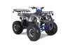 Tao Motors, T-Force Platinium, Quad à Essence (4 Temps) (120cc)