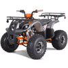 Tao Motors, T-Force Platinium, Quad à Essence (4 Temps) (120cc)