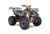 Tao Motors, T-Force Platinium, Quad à Essence (4 Temps) (120cc)