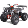 Tao Motors, T-Force Platinium, Quad à Essence (4 Temps) (120cc)