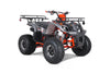 Tao Motors, T-Force Platinium, Quad à Essence (4 Temps) (120cc)