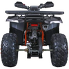 Tao Motors, Raptor 200 (2026), Quad à Essence (200cc)