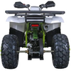 Tao Motors, Raptor 200 (2026), Quad à Essence (200cc)