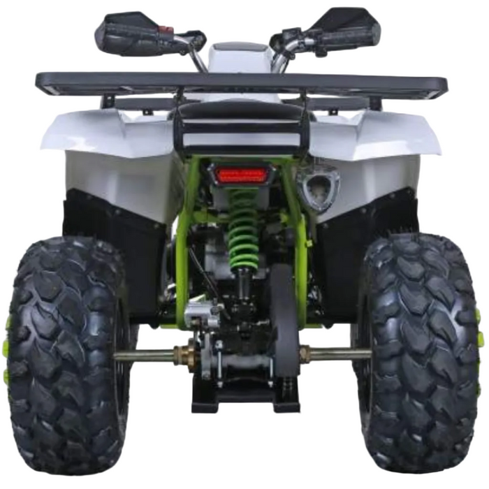 Tao Motors, Raptor 200 (2026), Quad à Essence (200cc)