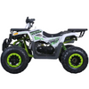 Tao Motors, Raptor 200 (2026), Quad à Essence (200cc)