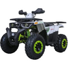 Tao Motors, Raptor 200 (2026), Quad à Essence (200cc)