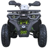 Tao Motors, Raptor 200 (2026), Quad à Essence (200cc)
